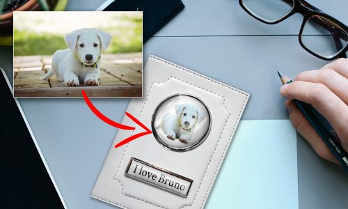 KFZ SCHEINHÜLLE WEISS MIT DEM HUNDFOTO