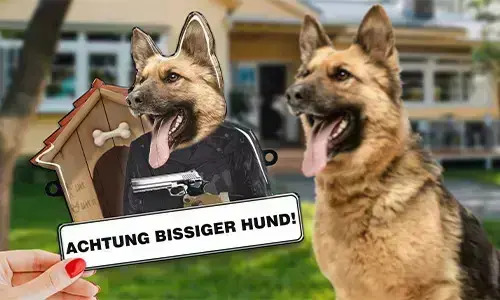 gallery-dog-sign-with-photo-1
