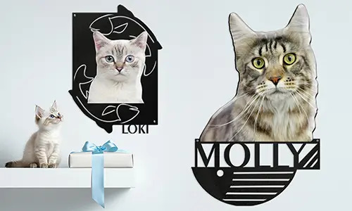 Decoración de pared personalizada con la foto y el nombre de tu gatito adorable