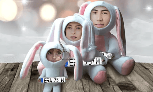 Car Photo Stuff Toy Bunny